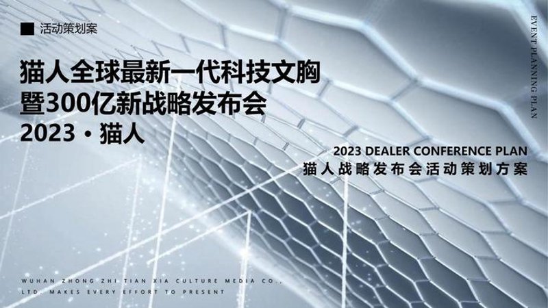 品牌策划全案:构建企业独特魅力的关键